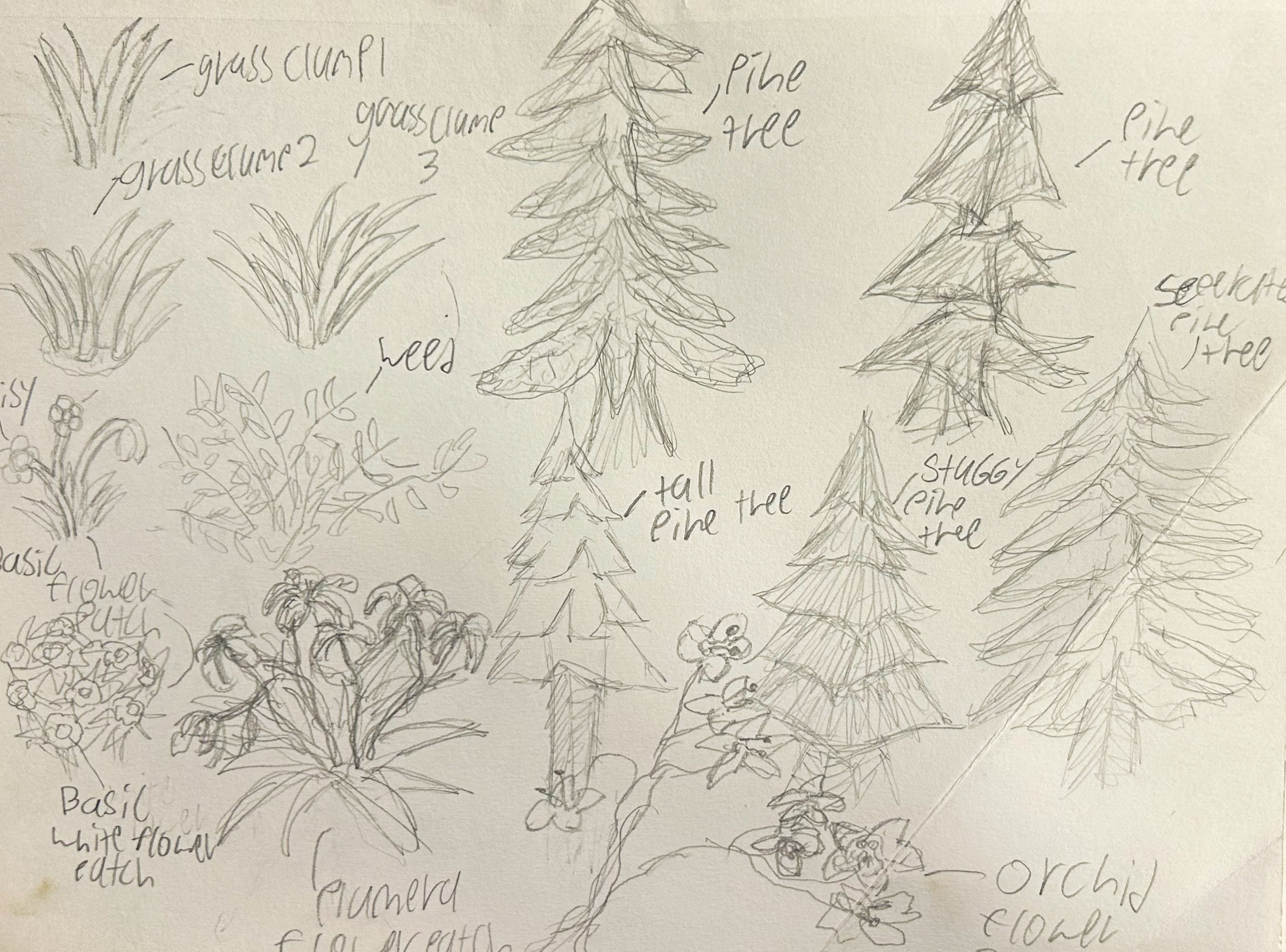 Nature studies